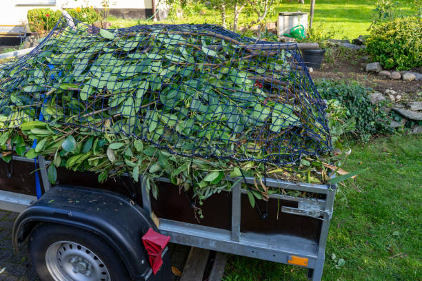 Best Yard Waste Removal  in Bexley, OH